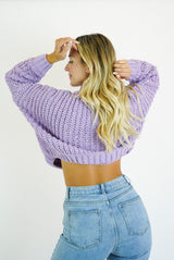 Lilibeth Purple Knit Sweater