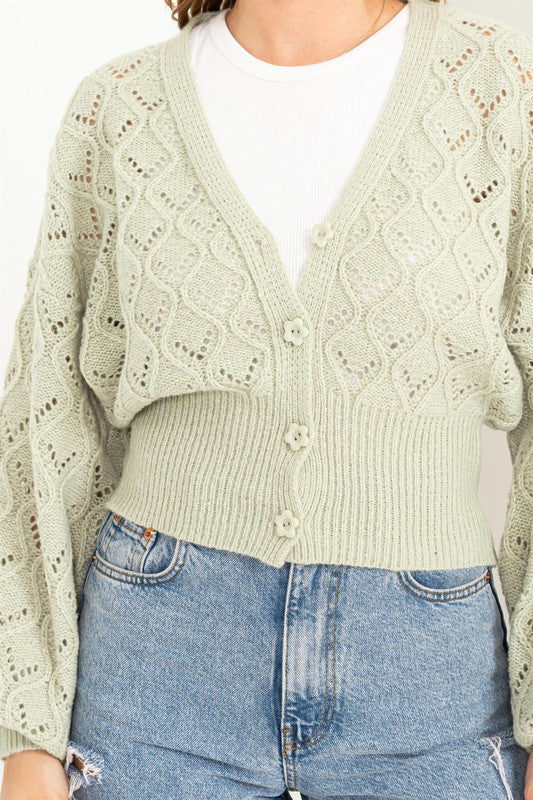 Bri Pointelle Sweater Cardigan