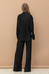 Anna Pleated Blouse Pants Set