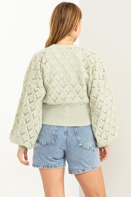 Bri Pointelle Sweater Cardigan
