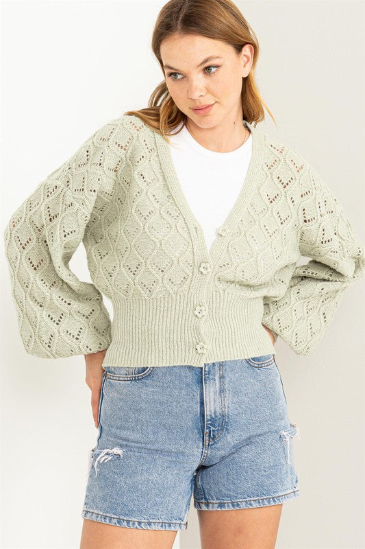 Bri Pointelle Sweater Cardigan
