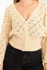 Bri Pointelle Sweater Cardigan