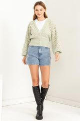 Bri Pointelle Sweater Cardigan