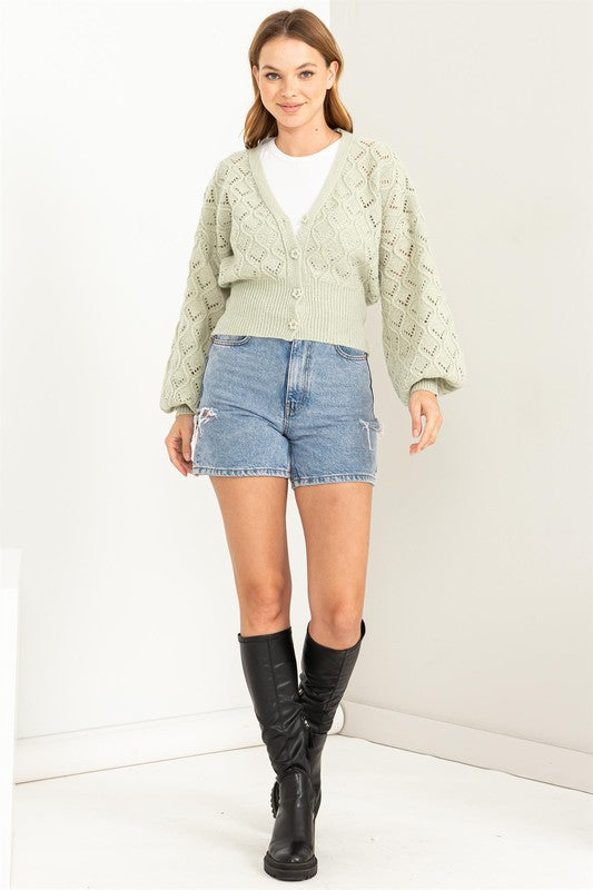 Bri Pointelle Sweater Cardigan