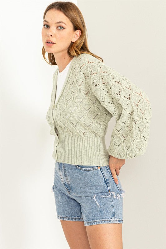 Bri Pointelle Sweater Cardigan