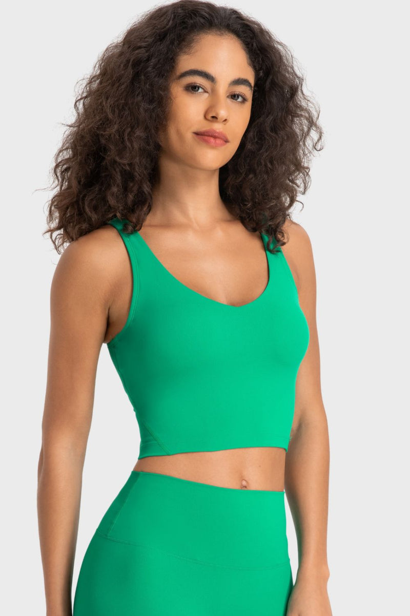 Bianca Deep V-Neck Crop Sports Bra