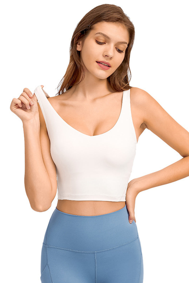 Bianca Deep V-Neck Crop Sports Bra
