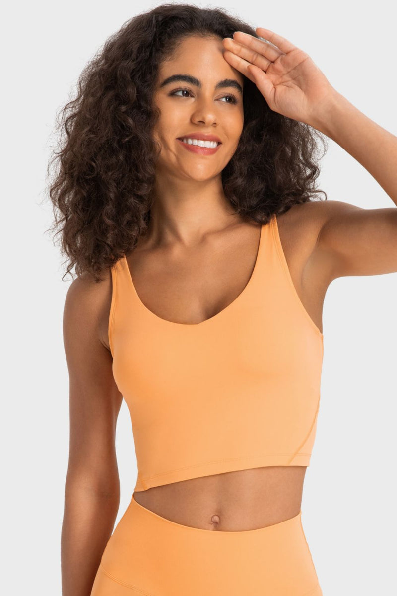 Bianca Deep V-Neck Crop Sports Bra