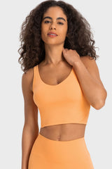 Bianca Deep V-Neck Crop Sports Bra