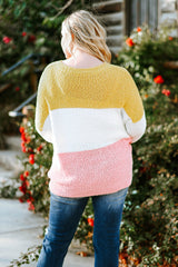 Emmie Plus Size Color Block Round Neck Sweater