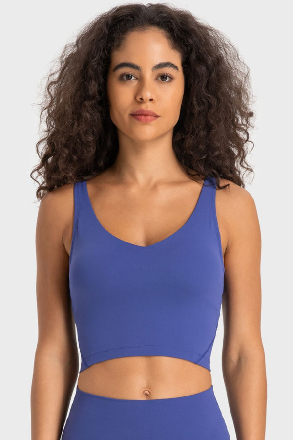 Bianca Deep V-Neck Crop Sports Bra