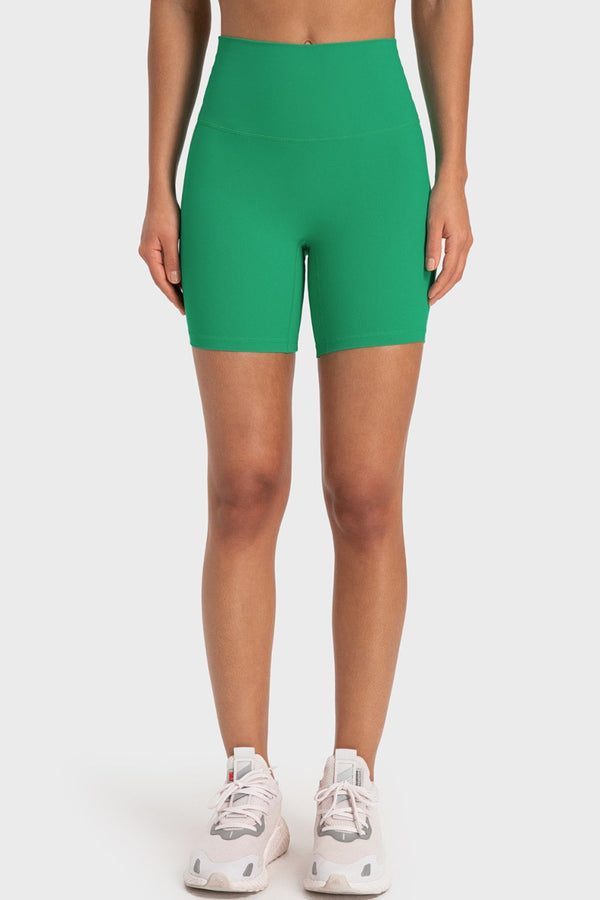 Dani Wide Waistband Biker Shorts
