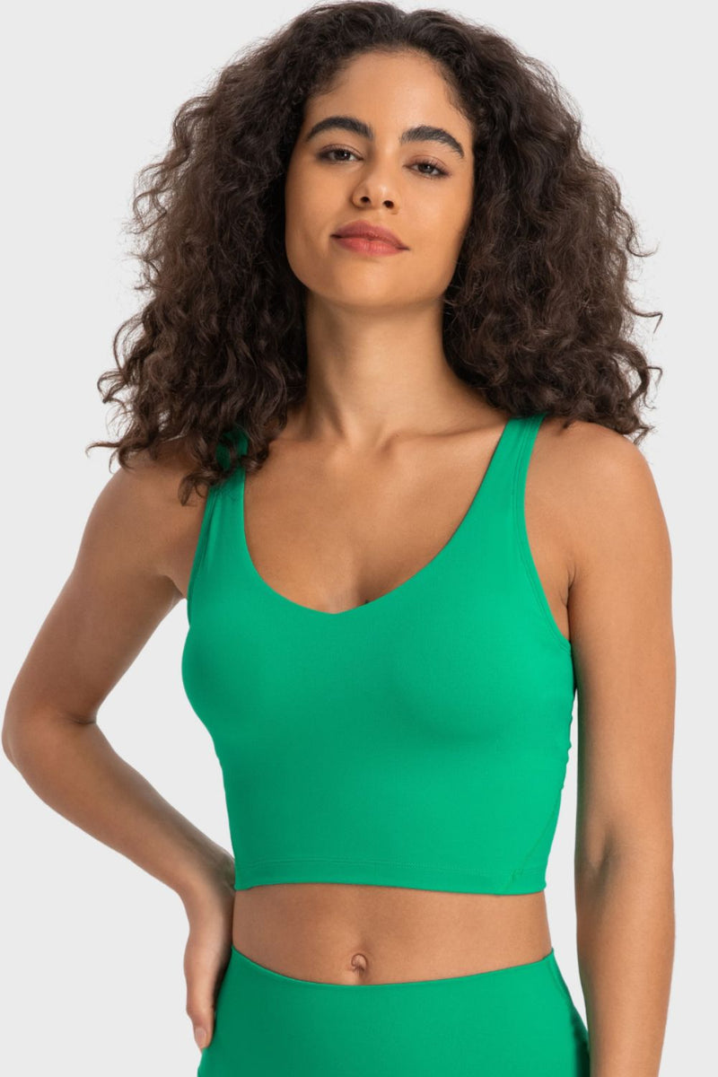 Bianca Deep V-Neck Crop Sports Bra